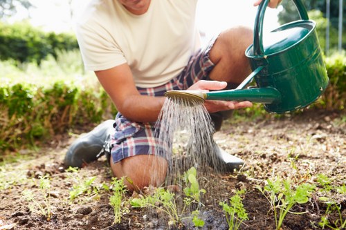 Team discussing hedge maintenance plan in a garden
