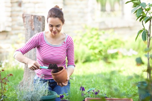 Enhancing curb appeal with a well-designed landscape garden