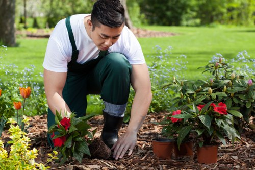 Inspector conducting a supplier audit at a hedge maintenance site