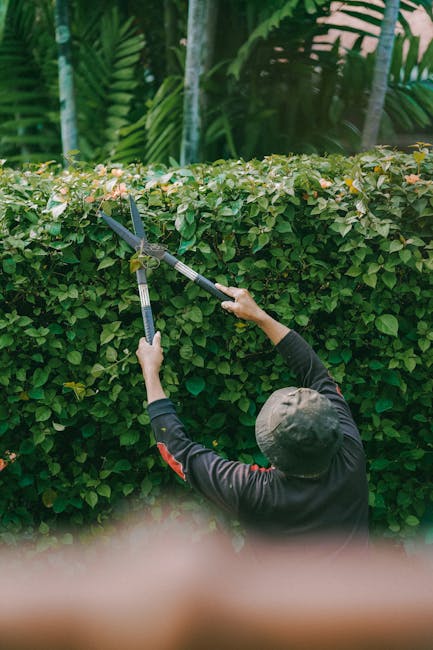 Two women engaged in gardening indoors, surrounded by lush green plants and potted foliage. The woman on the left, with blonde hair and glasses, holds a terracotta pot containing a healthy plant with 